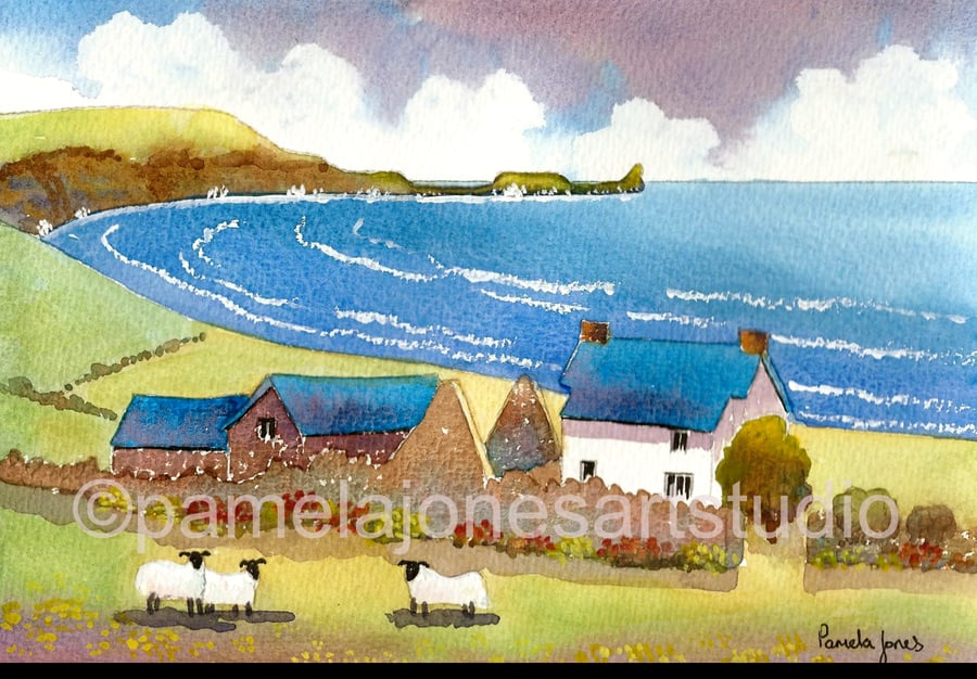 Sheep, The Old Rectory, Rhossili Bay, Gower, in 14 x 11'' Mount