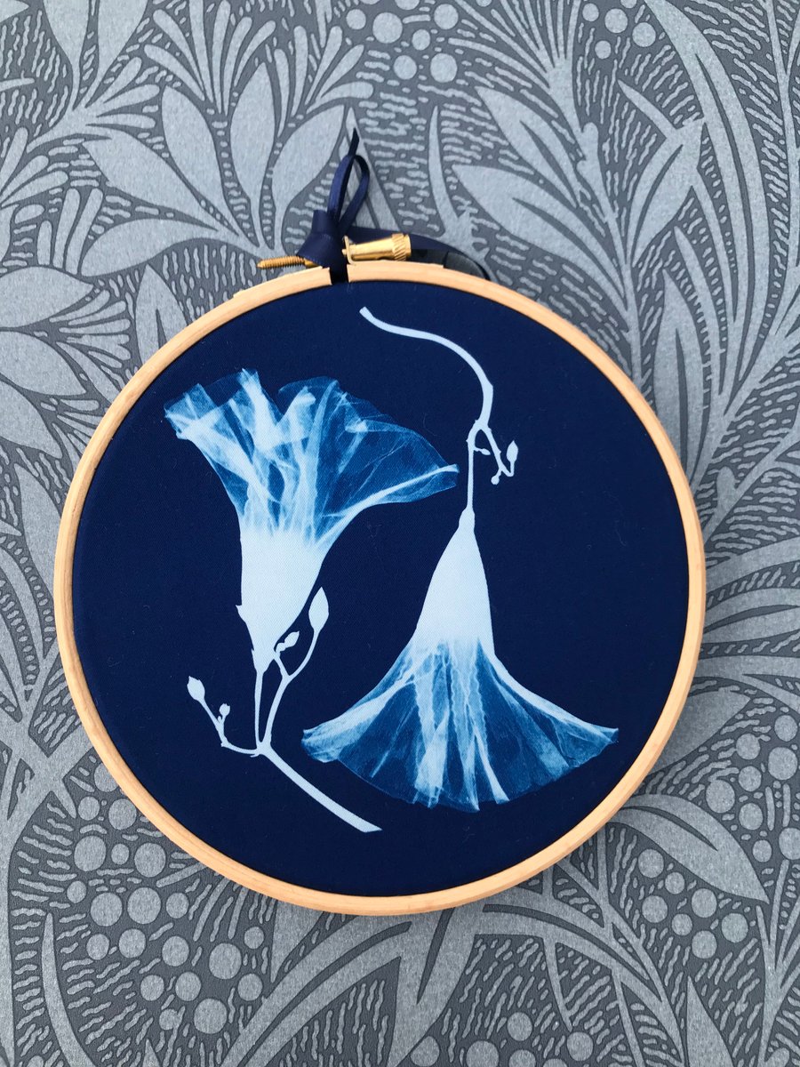 Morning Glory Flowers Cyanotype Art. Gorgeous Gift