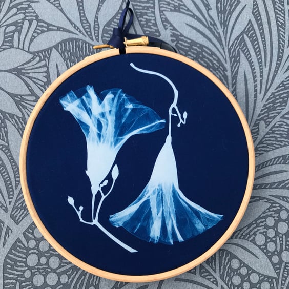 Morning Glory Flowers Cyanotype Art. Gorgeous Gift