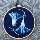 Morning Glory Flowers Cyanotype Art. Gorgeous Gift