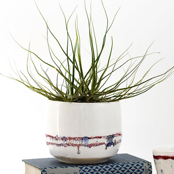 White ceramic planter with wine red and misty blue band  - handmade pottery