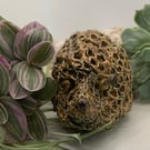 Smaller cute hedgehog