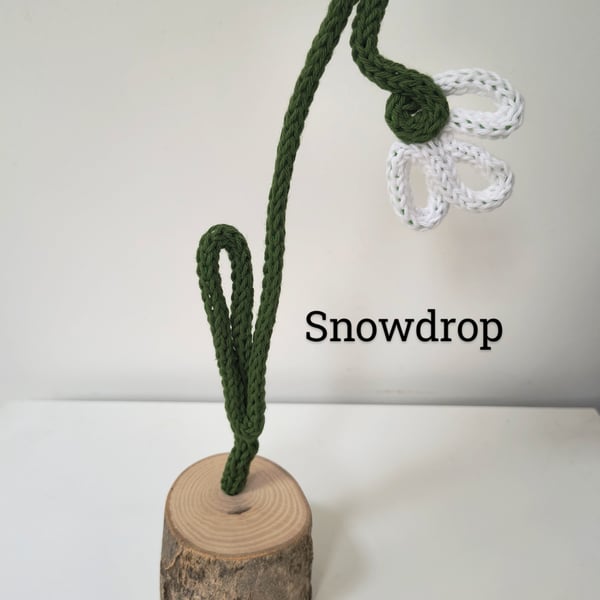 Snowdrop knitted flower FREE POSTAGE