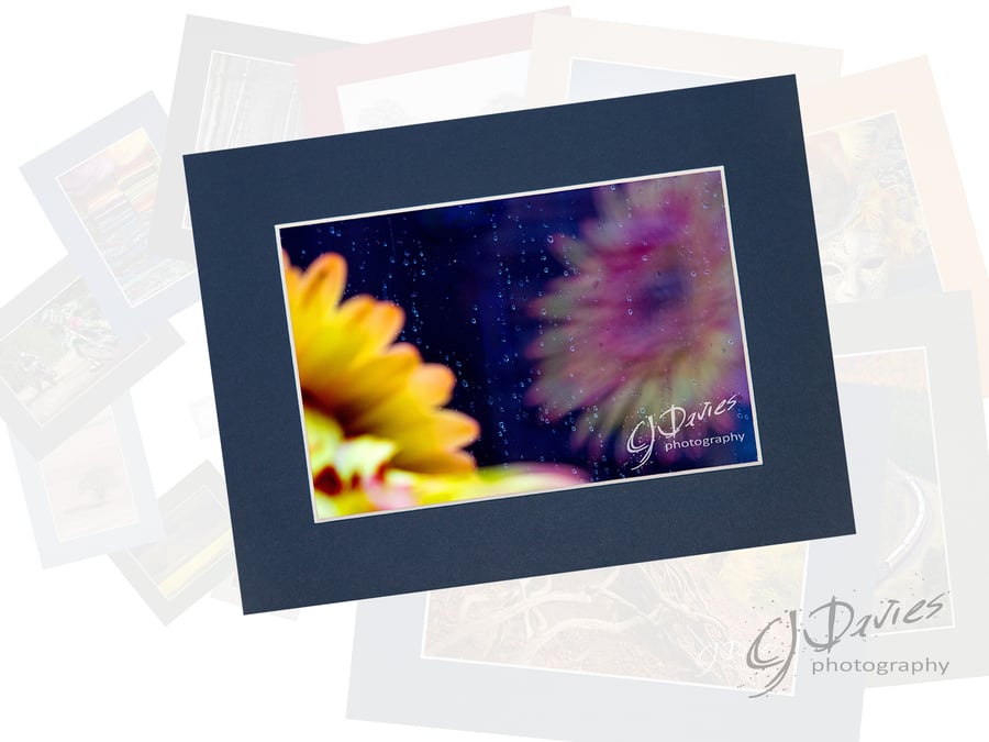 CJ196 - Reflections on a rainy day