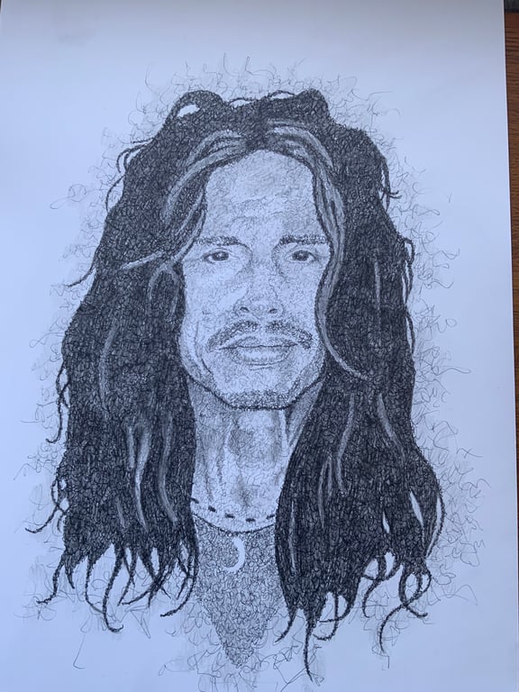A portrait of Steven Tyler 