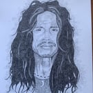 A portrait of Steven Tyler 