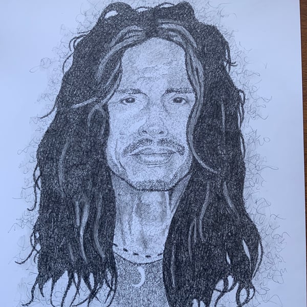 A portrait of Steven Tyler 