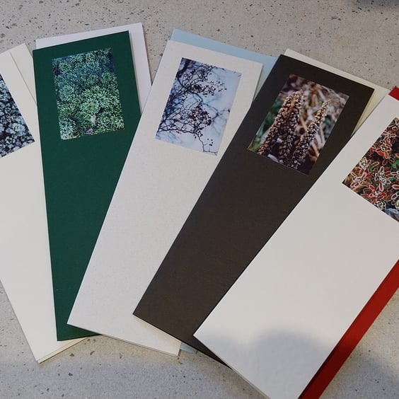 5 x original image photo seasonal cards