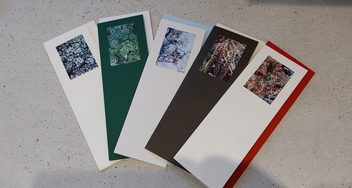 5 x original image photo seasonal cards