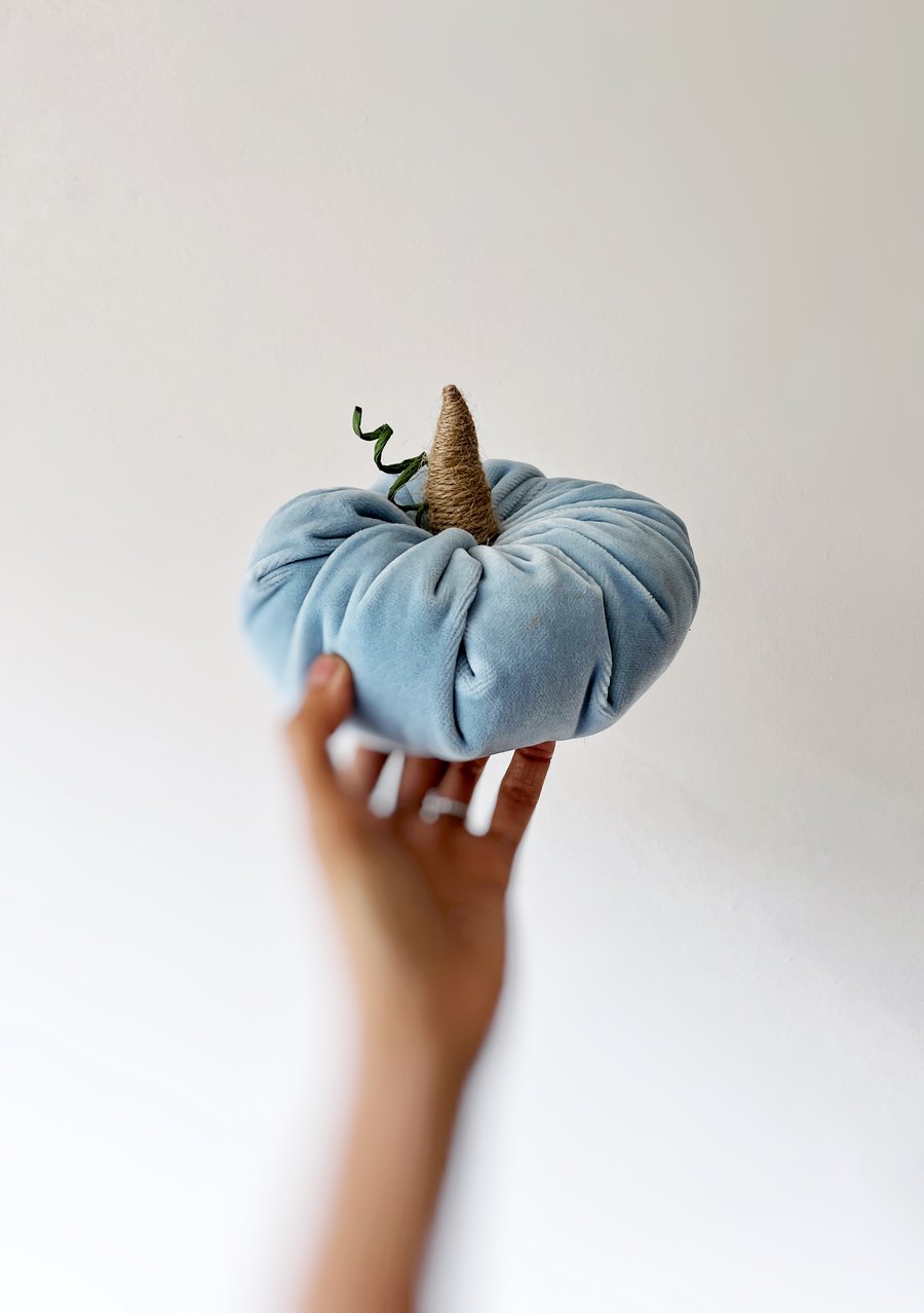Pastel Blue Velvet Pumpkin