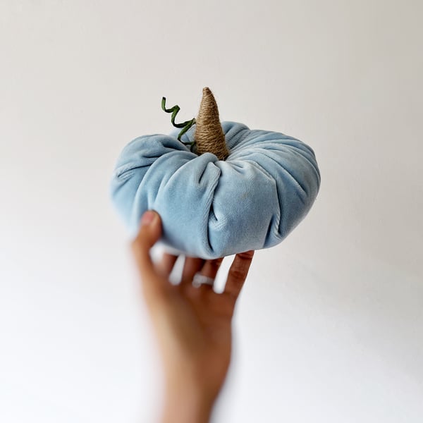 Pastel Blue Velvet Pumpkin