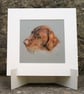 Wirehaired Pointer Dog Original Coloured Pencil Drawing - Image 1