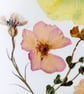 Handmade Pressed Flowers. Original Design. A4 size. - Image 4