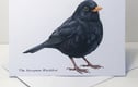 British Birds - Cards, Mugs & Travel Mugs, Framed Pictures