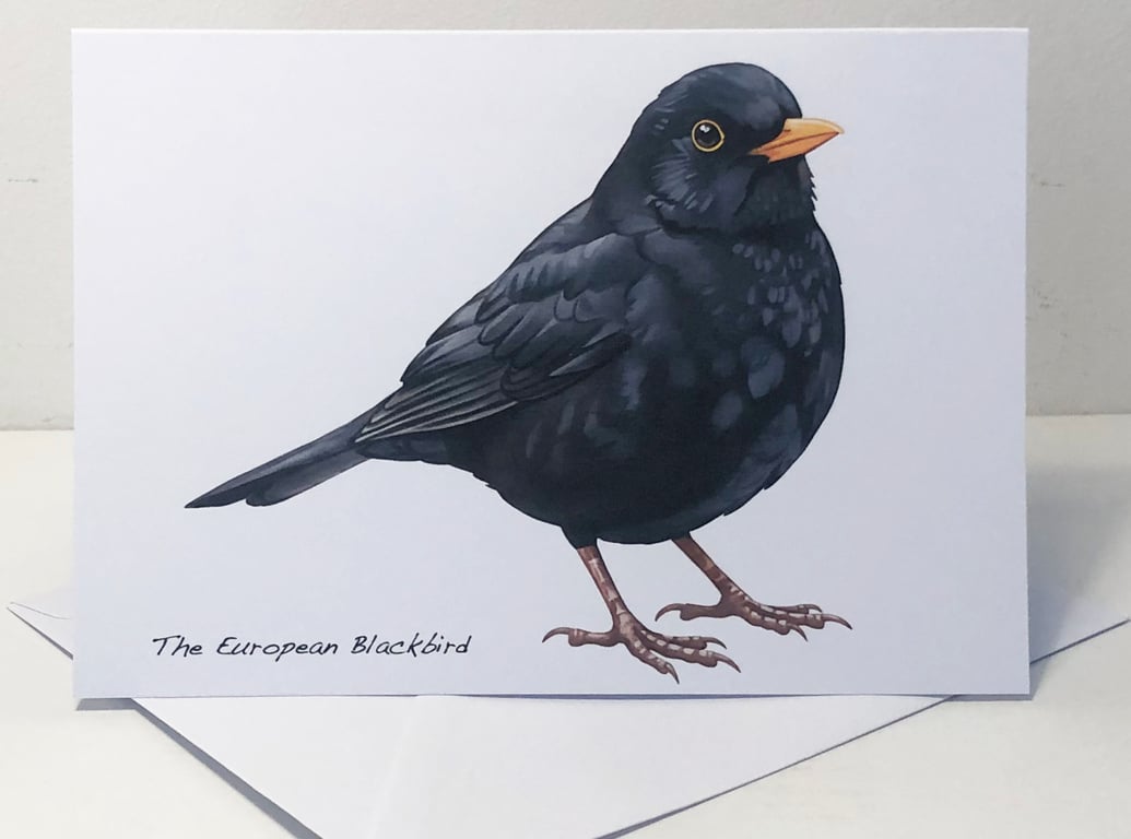 The Blackbird -  5 x 7in Greeting Card and Envelope: Birthday or Plain