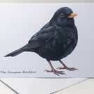 The Blackbird -  5 x 7in Greeting Card and Envelope: Birthday or Plain