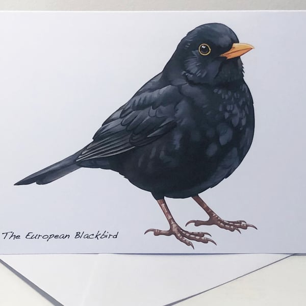 The Blackbird -  5 x 7in Greeting Card and Envelope: Birthday or Plain