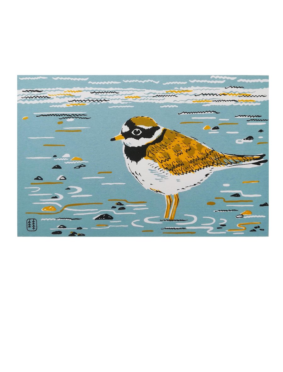 Ringed Plover screenprint