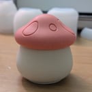 Handmade Mushroom storage box