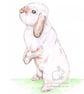 Beatrix the Rabbit - Blank Card - Image 1