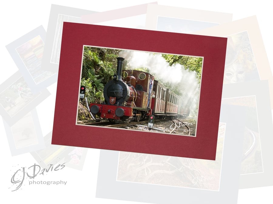 CJ225 - Talyllyn Railway