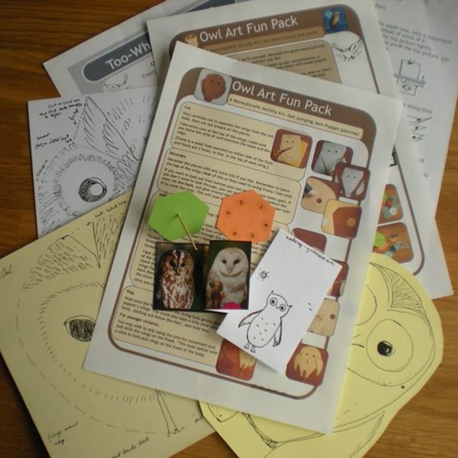 Owl Art Activity Pack and 4 Cosies CUSTOM Order for Mumof4Girls