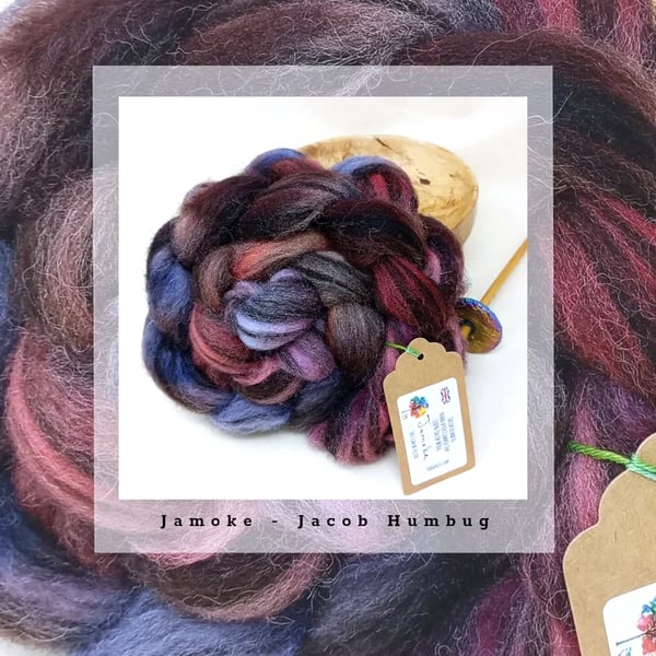 Jamoke Hand Dyed Jacob Humbug Combed Wool Top 100g Braid felting spinning Yarn
