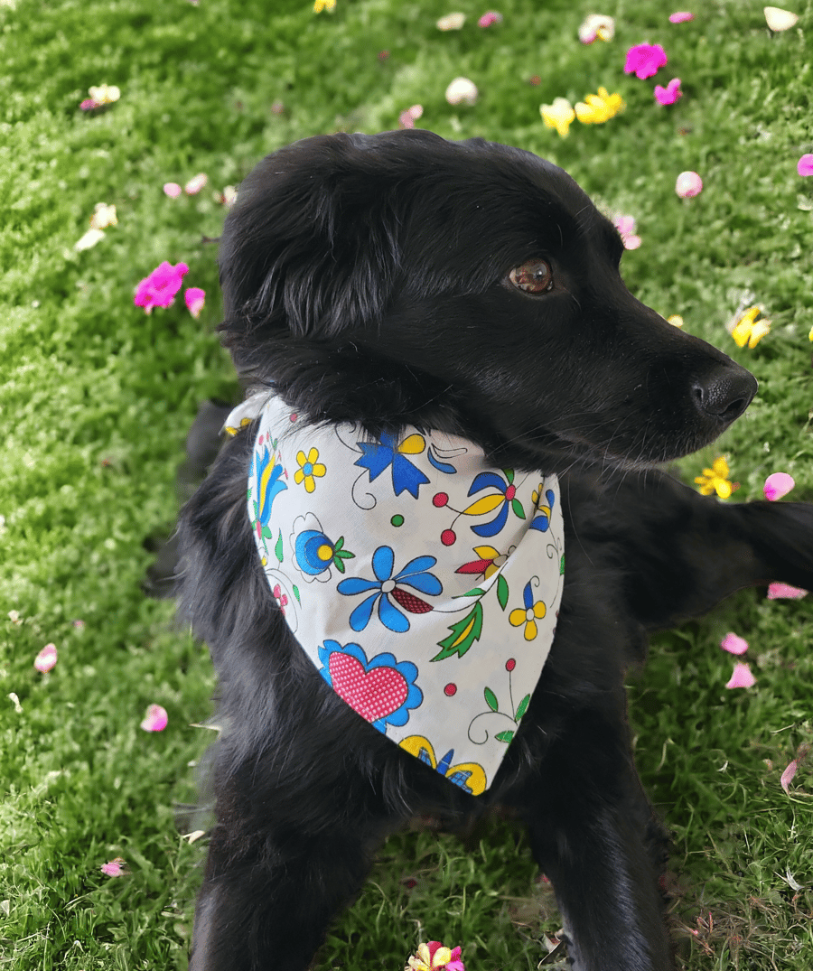Cotton dog bandana summer floral print size M