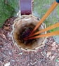 Wicker Arrow Quiver - Traditional-Primitive Archery Gift - Image 3