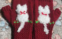 Gloves/mittens