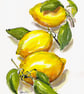 Lemons print