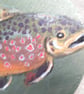 Wooden Coaster handpainted with a Brown Trout.   - Image 2