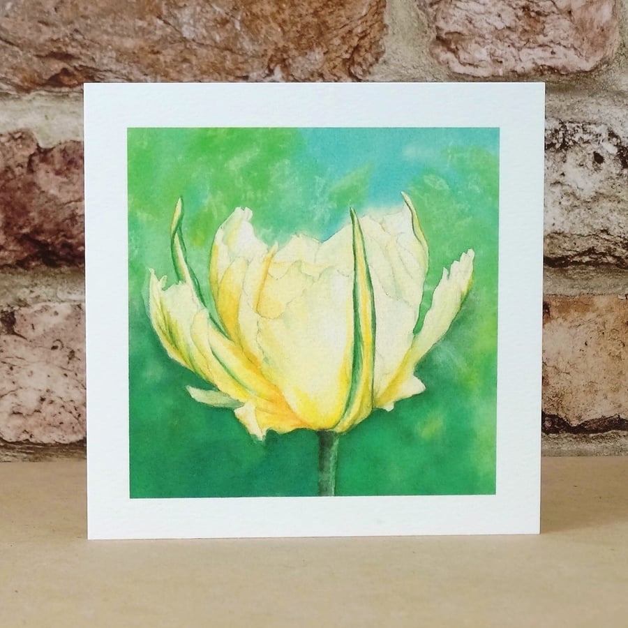 Blank Card Exotic Emperor Tulip Eco Friendly