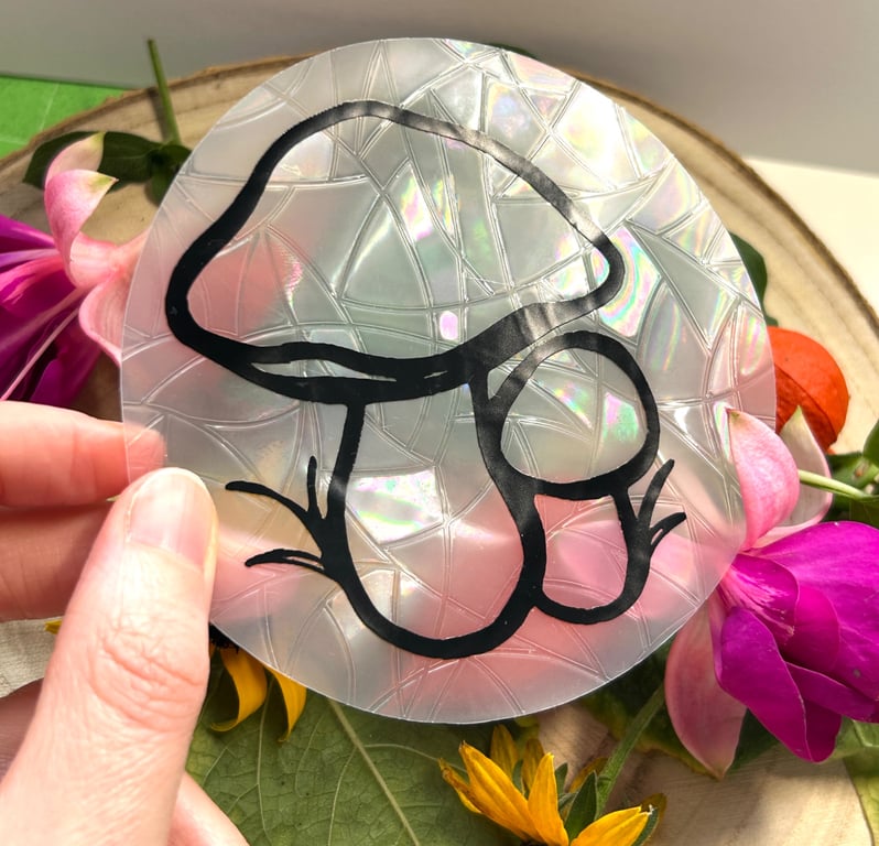 Sun Catcher Window Sticker 