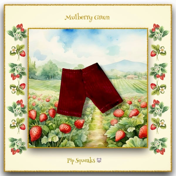 Pip Squeaks’ Burgundy Corduroy Trousers 