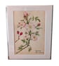 A5 water colour mounted prints - Image 3