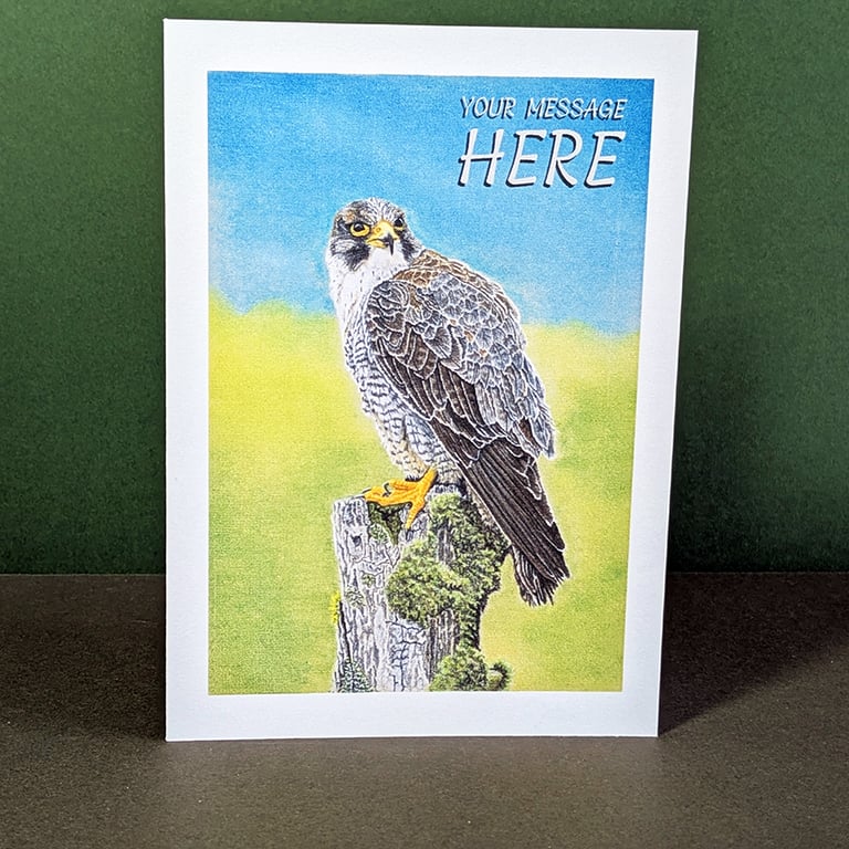 Peregrine Falcon Art Card: Blank or Personalised A6-Size Greetings Card