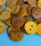 Large Bright and Bold Yellow Coconut Shell Buttons 3pk 30mm - Image 1