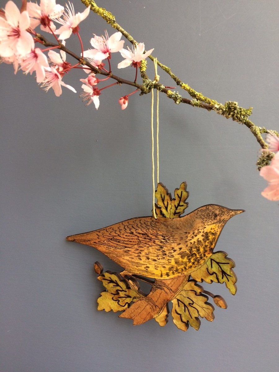 Thrush & Oak leaf hanging