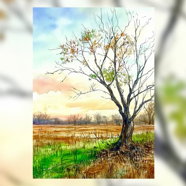 Autumn Tree in Open Field Watercolor 5" x 7" Matte Print