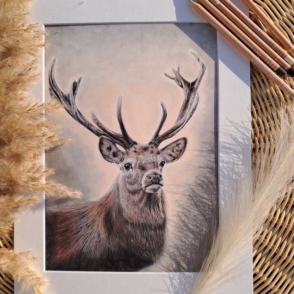 TRADITIONAL Scottish  Stag Drawing Fine Art Print