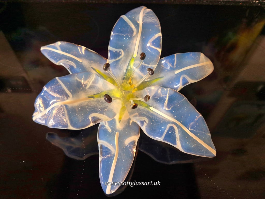 Handmade Fused Glass Lily Opaline White Stripe No 1 of 3.with Wall-mounting