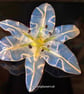 Handmade Fused Glass Lily Opaline White Stripe No 1 of 3.with Wall-mounting - Image 1
