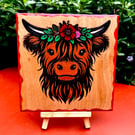 Baby highland cow. Wooden plaque. 