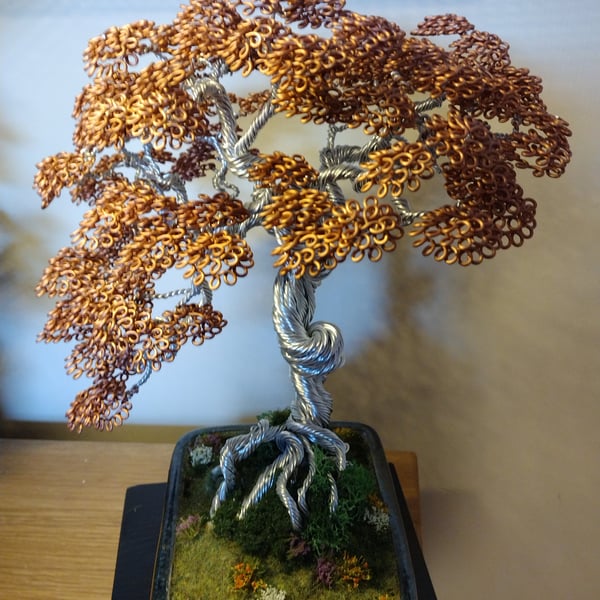 The twisted gnarled oak bonsai tree 