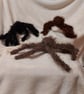 Hallowe'en Spiders