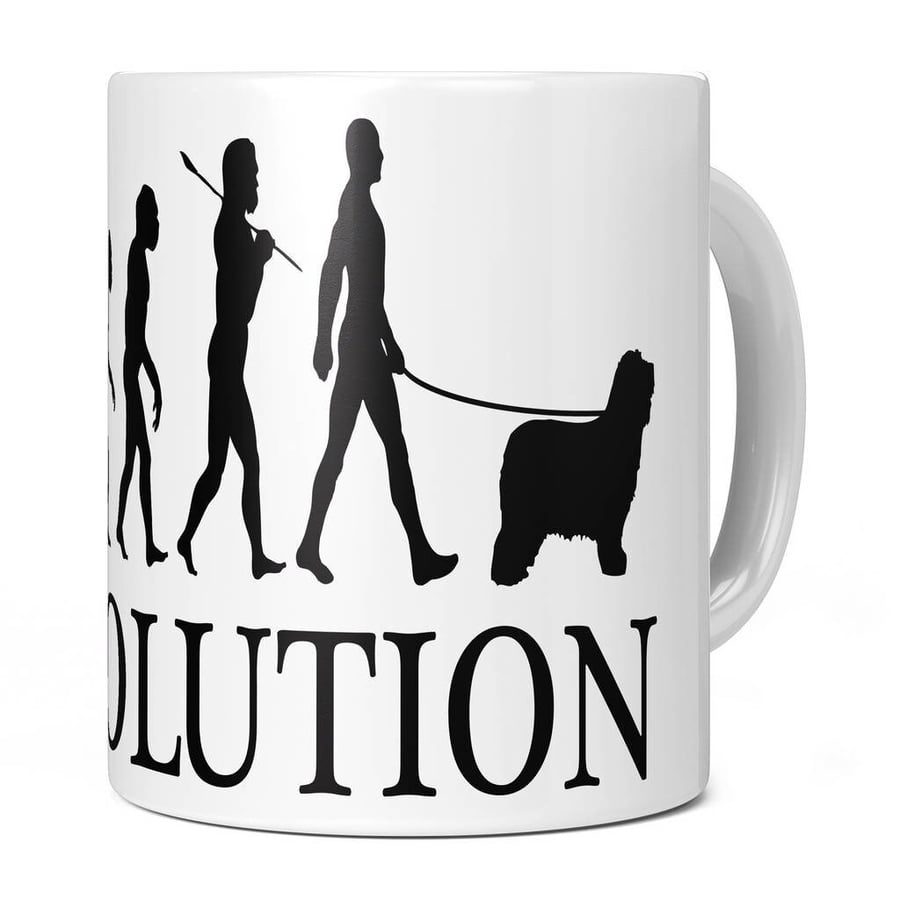 Bearded Collie Evolution 11oz Coffee Mug Cup - Perfect Birthday Gift for Him or 
