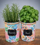 Retro owl grow your own herb gift set  - Image 3