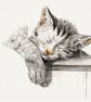 Cat Design Lampshade Art Lampshade - Fine Art gift Lamp Shade Gift  - Image 4
