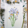 Summer Seconds Iris hand-painted original watercolour painting A4 mounted